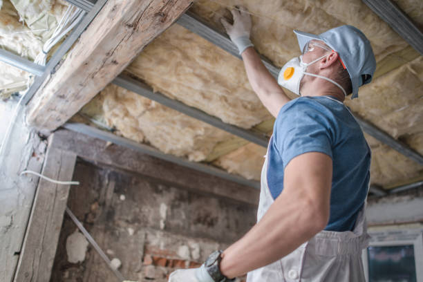 Best Insulation Maintenance and Repair in Jonestown, PA